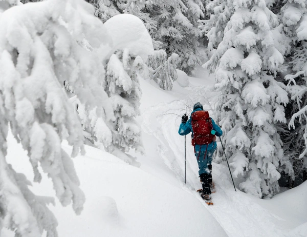 Ab Dezember 2026: glockna – das wohl coolste Hotel in Fusch Person beim Schneeschuhwandern durch verschneiten Wald mit hohen Tannen